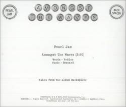 Pearl Jam : Amongst the Waves